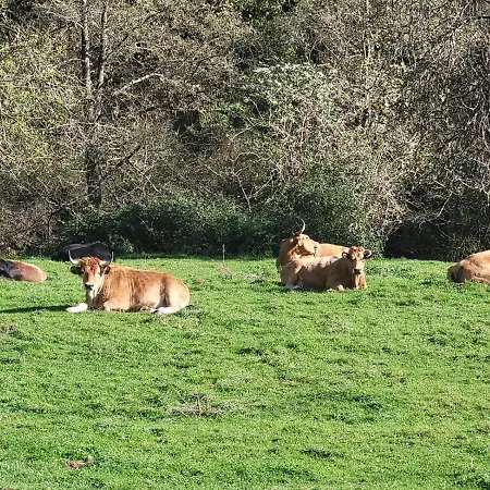 La Casona De Rey 2* Alvariza