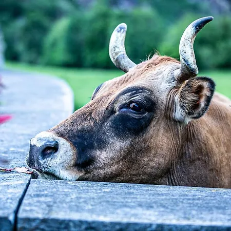La Casona De Rey Hotel