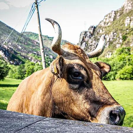 Hotel La Casona De Rey 2*