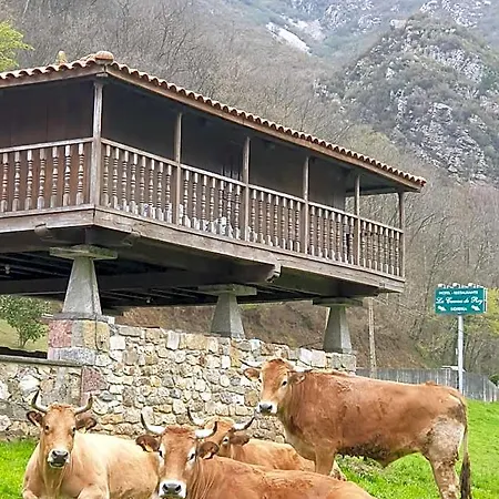 מלון La Casona De Rey 2*