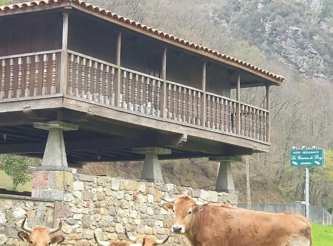 Hotel La Casona De Rey Alvariza