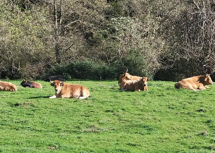 La Casona De Rey 2* Alvariza