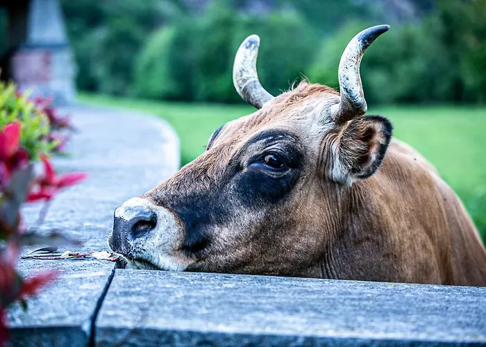 La Casona De Rey Hotel