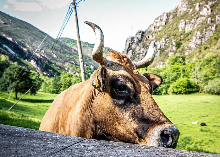 Hotel La Casona De Rey 2*