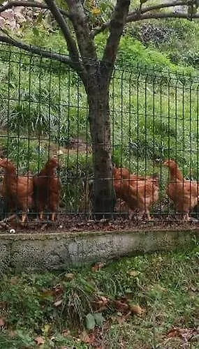 La Casona De Rey 2* Alvariza