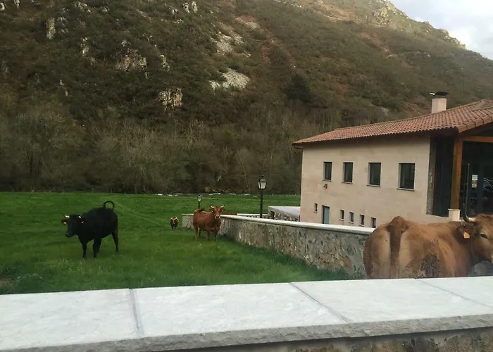 La Casona De Rey Alvariza